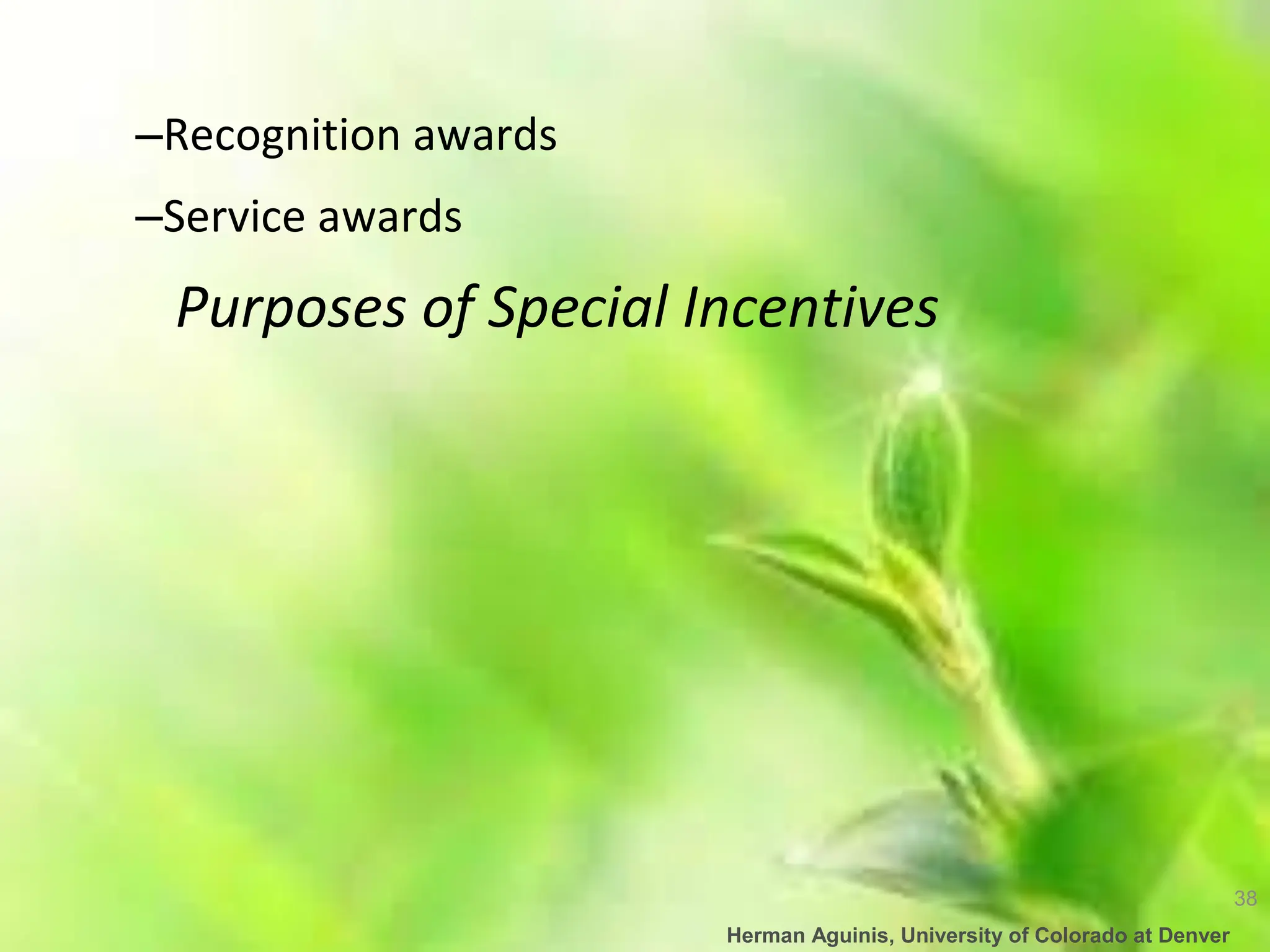 38
Herman Aguinis, University of Colorado at Denver
–Recognition awards
–Service awards
Purposes of Special Incentives
 