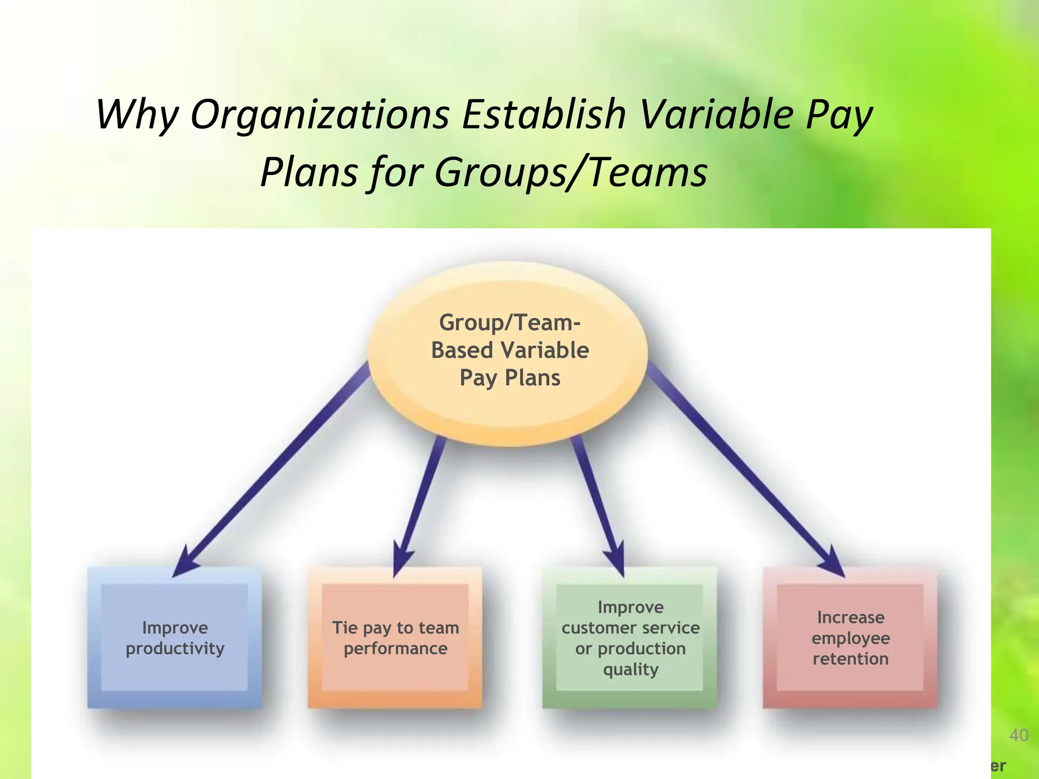 40
Herman Aguinis, University of Colorado at Denver
Why Organizations Establish Variable Pay
Plans for Groups/Teams
Group/Team-
Based Variable
Pay Plans
Improve
productivity
Tie pay to team
performance
Improve
customer service
or production
quality
Increase
employee
retention
 