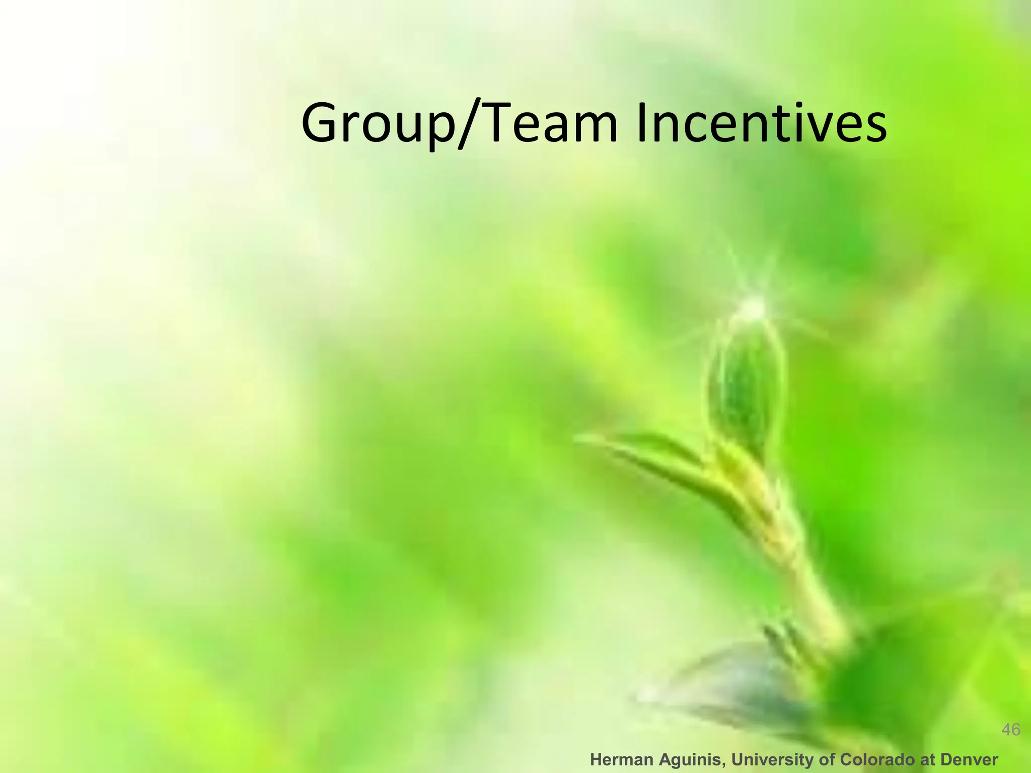 46
Herman Aguinis, University of Colorado at Denver
Group/Team Incentives
 