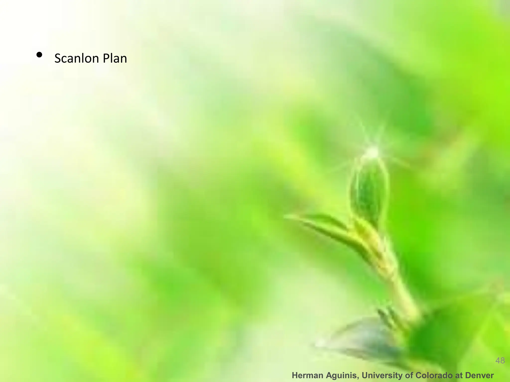 48
Herman Aguinis, University of Colorado at Denver
• Scanlon Plan
 