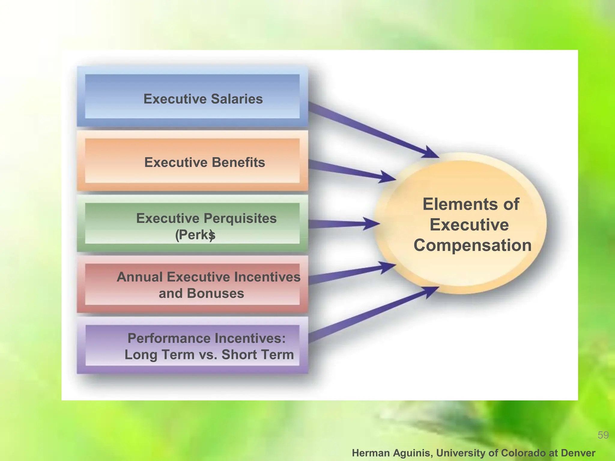 59
Herman Aguinis, University of Colorado at Denver
Executive Salaries
Executive Benefits
Executive Perquisites
(Perks
)
Annual Executive Incentives
and Bonuses
Performance Incentives:
Long Term vs. Short Term
Elements of
Executive
Compensation
 