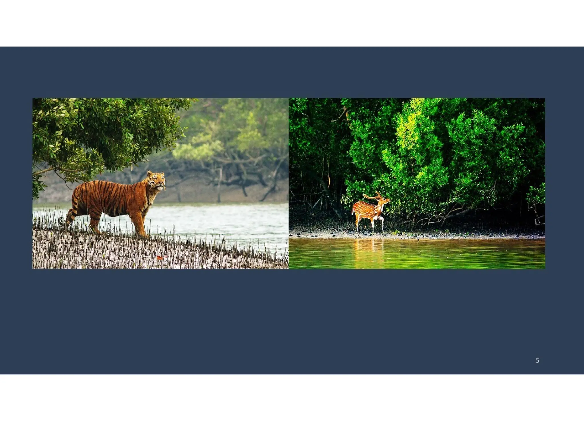 Article 1. Definition of cultural property ownership: