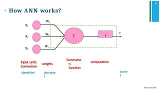 Comprehensive Guide to Artificial Neural Networks and Activation ...