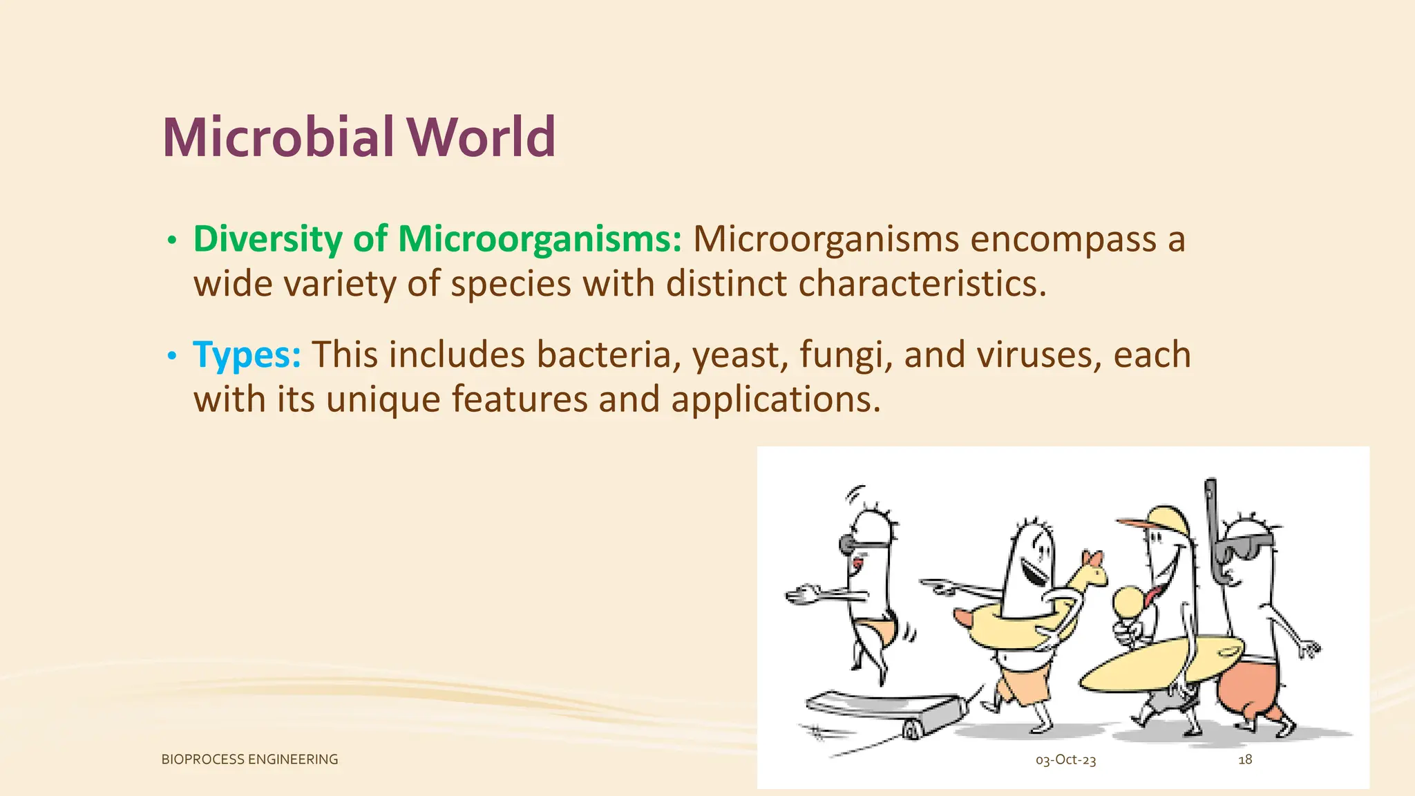 Microbial World
• Diversity of Microorganisms: Microorganisms encompass a
wide variety of species with distinct characteristics.
• Types: This includes bacteria, yeast, fungi, and viruses, each
with its unique features and applications.
03-Oct-23
BIOPROCESS ENGINEERING 18
 
