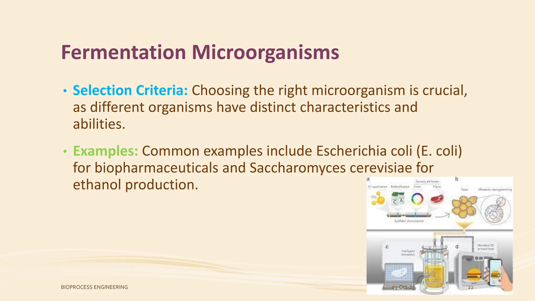 Fermentation Microorganisms
• Selection Criteria: Choosing the right microorganism is crucial,
as different organisms have distinct characteristics and
abilities.
• Examples: Common examples include Escherichia coli (E. coli)
for biopharmaceuticals and Saccharomyces cerevisiae for
ethanol production.
03-Oct-23
BIOPROCESS ENGINEERING 22
 