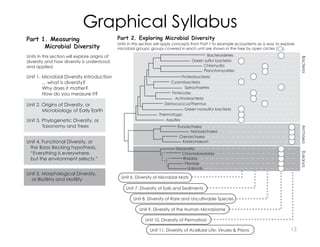 Bacteroidetes
Green sulfur bacteria
Chlamydia
Planctomycetes
Proteobacteria
Cyanobacteria
Spirochaetes
Firmicutes
Actinobacteria
Deinococcus/Thermus
Thermotoga
Aquifex
Green nonsulfur bacteria
Euryarchaea
Nanoarchaea
Crenarchaea
Korarchaeum
Chromalveolates
Plantae
Unikonts
Rhizaria
Excavata
Unit 6. Diversity of Microbial Mats
Unit 7. Diversity of Soils and Sediments
Unit 8. Diversity of Rare and Uncultivable Species
Unit 9. Diversity of the Human Microbiome
Unit 10. Diversity of Permafrost
Unit 11. Diversity of Acellular Life: Viruses & Prions
Part 2. Exploring Microbial Diversity
Bacteria
Archaea
Eukarya
Units in this section will apply concepts from Part 1 to example ecosystems as a way to explore
microbial groups; groups covered in each unit are shown in the tree by open circles ( ).
Unit 1. Microbial Diversity Introduction
... what is diversity?
Why does it matter?
How do you measure it?
Unit 3. Phylogenetic Diversity, or
Taxonomy and Trees
Unit 2. Origins of Diversity, or
Microbiology of Early Earth
Unit 5. Morphological Diversity,
or Biofilms and Motility
Unit 4. Funcitonal Diversity, or
the Baas Becking hypothesis,
“Everything is everywhere,
but the environment selects.”
Part 1. Measuring
Microbial Diversity
Units in this section will explore origins of
diversity and how diversity is understood
and applied.
Graphical Syllabus
13
 