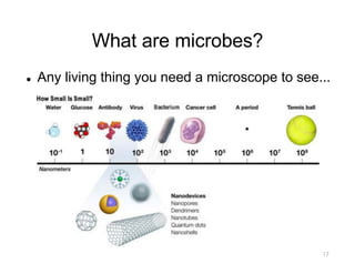 What are microbes?
l Any living thing you need a microscope to see...
17
 