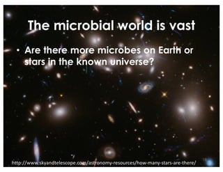 The microbial world is vast
• Are there more microbes on Earth or
stars in the known universe?
http://www.skyandtelescope.com/astronomy-resources/how-many-stars-are-there/
18
 