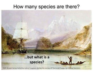 How many species are there?
…but what is a
species?
HMS Beagle being hailed by native Fuegians during the survey of Tierra del Fuego, by Conrad Martens.
22
 