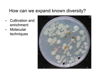 How can we expand known diversity?
• Cultivation and
enrichment
• Molecular
techniques
24
 