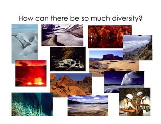 How can there be so much diversity?
25
 