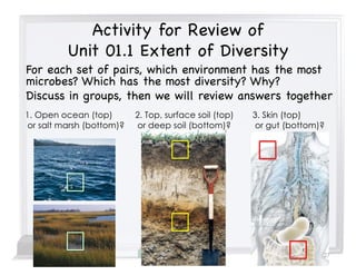 Activity for Review of
Unit 01.1 Extent of Diversity
For each set of pairs, which environment has the most
microbes? Which has the most diversity? Why?
Discuss in groups, then we will review answers together
1. Open ocean (top)
or salt marsh (bottom)?
2. Top, surface soil (top)
or deep soil (bottom)?
3. Skin (top)
or gut (bottom)?
27
 