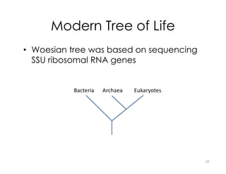 Modern Tree of Life
• Woesian tree was based on sequencing
SSU ribosomal RNA genes
Bacteria Archaea Eukaryotes
35
 