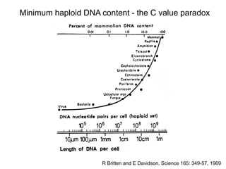 Lecture_01_Eukaryotic_Genomes_and_Chromatin_Structure.pptx