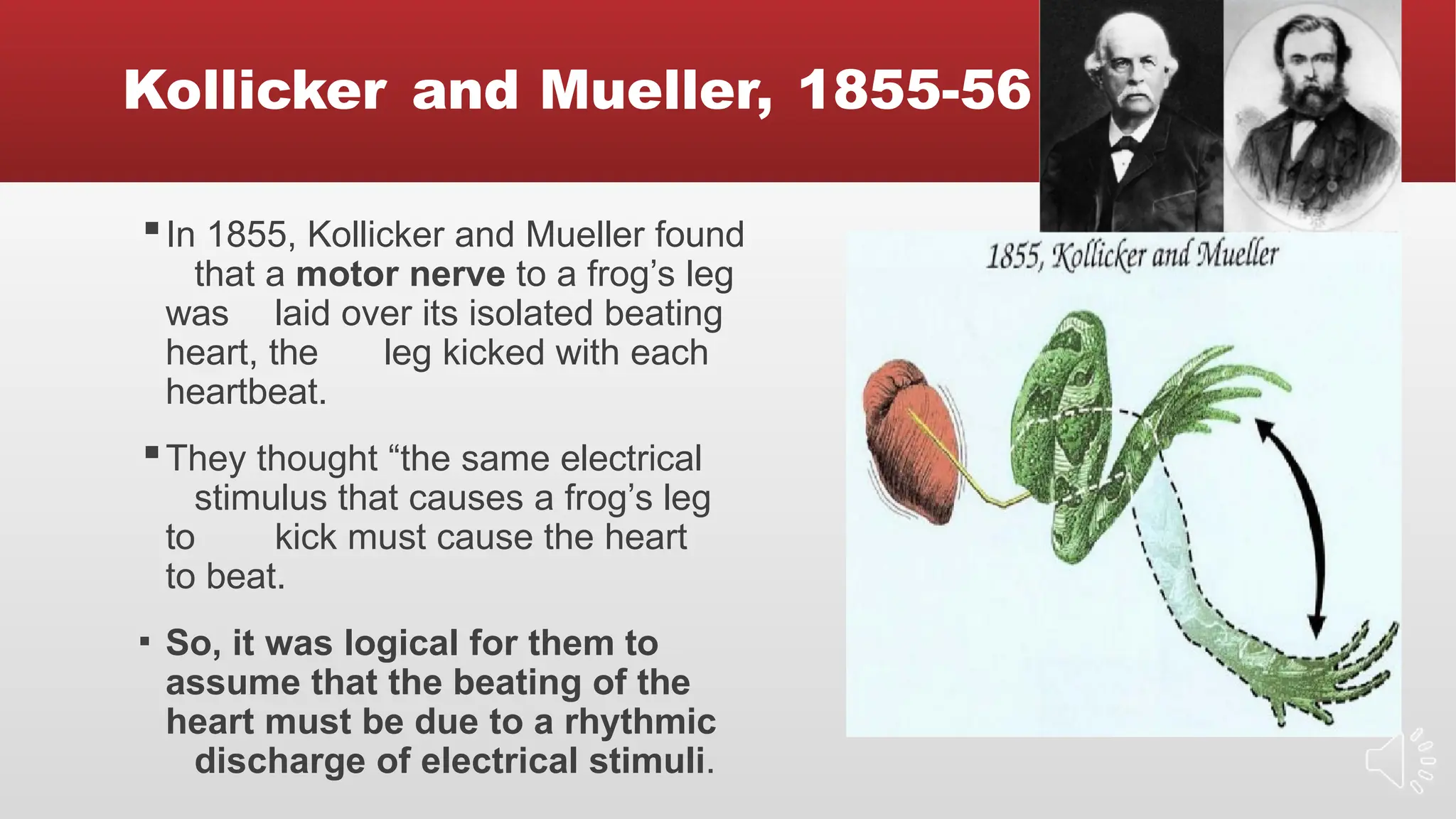 Kollicker and Mueller, 1855-56
▪In 1855, Kollicker and Mueller found
that a motor nerve to a frog’s leg
was laid over its isolated beating
heart, the leg kicked with each
heartbeat.
▪They thought “the same electrical
stimulus that causes a frog’s leg
to kick must cause the heart
to beat.
▪ So, it was logical for them to
assume that the beating of the
heart must be due to a rhythmic
discharge of electrical stimuli.
 