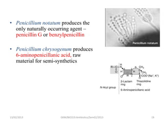 • Penicillium notatum produces the
  only naturally occurring agent –
  penicillin G or benzylpenicillin

• Penicillium chrysogenum produces
  6-aminopenicillanic acid, raw
  material for semi-synthetics




13/02/2013           GKM/BIO319:Antibiotics/Sem02/2013   19
 