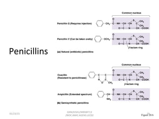 Penicillins
Figure 20.6
01/23/15 19
GKM/KISIIU/MBSM713
/BIOC.AMIC.AGENS.LEC02
 