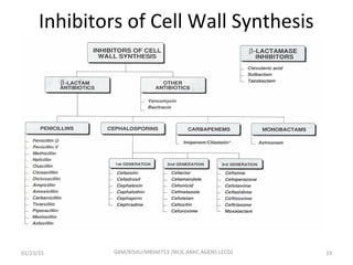 Inhibitors of Cell Wall Synthesis
01/23/15 33GKM/KISIIU/MBSM713 /BIOC.AMIC.AGENS.LEC02
 