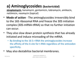 a) Aminoglycosides (bactericidal)
streptomycin, kanamycin, gentamicin, tobramycin, amikacin,
netilmicin, neomycin (topical)
• Mode of action - The aminoglycosides irreversibly bind
to the 16S ribosomal RNA and freeze the 30S initiation
complex (30S-mRNA-tRNA) so that no further initiation
can occur.
• They also slow down protein synthesis that has already
initiated and induce misreading of the mRNA.
– By binding to the 16 S r-RNA the aminoglycosides increase
the affinity of the A site for t-RNA regardless of the anticodon
specificity.
• May also destabilize bacterial membranes.
01/23/15 50
GKM/KISIIU/MBSM713
/BIOC.AMIC.AGENS.LEC02
 