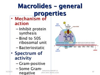 Macrolides – generalMacrolides – general
propertiesproperties
• Mechanism of
action
– Inhibit protein
synthesis
– Bind to 50S
ribosomal unit
– Bacteriostatic
• Spectrum of
activity
– Gram-positive
– Some Gram-
negative
01/23/15 60
GKM/KISIIU/MBSM713
/BIOC.AMIC.AGENS.LEC02
 