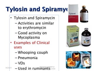 Tylosin andTylosin and SpiramycinSpiramycin
• Tylosin and Spiramycin
– Activities are similar
to erythromycin
– Good activity on
Mycoplasma
• Examples of Clinical
uses
– Whooping couph
– Pneumonia
– VDs
– Used in ruminants01/23/15 64
GKM/KISIIU/MBSM713
/BIOC.AMIC.AGENS.LEC02
 