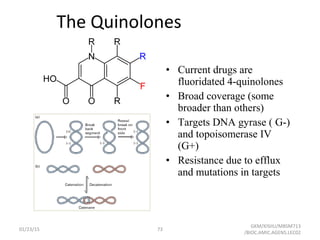 The Quinolones
• Current drugs are
fluoridated 4-quinolones
• Broad coverage (some
broader than others)
• Targets DNA gyrase ( G-)
and topoisomerase IV
(G+)
• Resistance due to efflux
and mutations in targets
01/23/15 73
GKM/KISIIU/MBSM713
/BIOC.AMIC.AGENS.LEC02
 