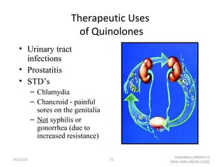 Therapeutic Uses
of Quinolones
• Urinary tract
infections
• Prostatitis
• STD’s
– Chlamydia
– Chancroid - painful
sores on the genitalia
– Not syphilis or
gonorrhea (due to
increased resistance)
01/23/15 75
GKM/KISIIU/MBSM713
/BIOC.AMIC.AGENS.LEC02
 