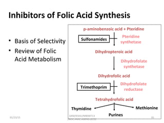 Inhibitors of Folic Acid Synthesis
• Basis of Selectivity
• Review of Folic
Acid Metabolism
p-aminobenzoic acid + Pteridine
Dihydropteroic acid
Dihydrofolic acid
Tetrahydrofolic acid
Pteridine
synthetase
Dihydrofolate
synthetase
Dihydrofolate
reductase
Thymidine
Purines
Methionine
Trimethoprim
Sulfonamides
01/23/15 81
GKM/KISIIU/MBSM713
/BIOC.AMIC.AGENS.LEC02
 