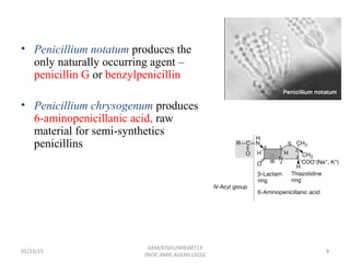 • Penicillium notatum produces the
only naturally occurring agent –
penicillin G or benzylpenicillin
• Penicillium chrysogenum produces
6-aminopenicillanic acid, raw
material for semi-synthetics
penicillins
01/23/15 9
GKM/KISIIU/MBSM713
/BIOC.AMIC.AGENS.LEC02
 