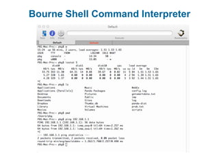 Bourne Shell Command Interpreter
 