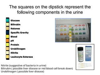The squares on the dipstick represent the
following components in the urine
Nitrite (suggestive of bacteria in urine)
Bilirubin ( possible liver disease or red blood cell break down)
Urobilinogen ( possible liver disease)
 