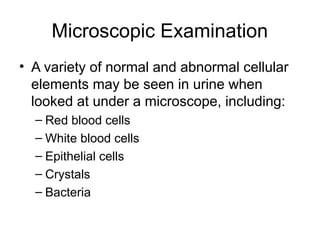 Microscopic Examination
• A variety of normal and abnormal cellular
elements may be seen in urine when
looked at under a microscope, including:
– Red blood cells
– White blood cells
– Epithelial cells
– Crystals
– Bacteria
 