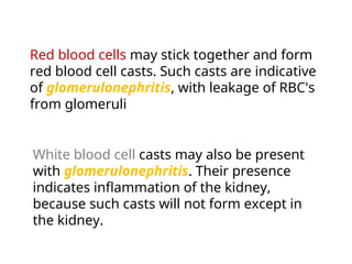 Red blood cells may stick together and form
red blood cell casts. Such casts are indicative
of glomerulonephritis, with leakage of RBC's
from glomeruli
White blood cell casts may also be present
with glomerulonephritis. Their presence
indicates inflammation of the kidney,
because such casts will not form except in
the kidney.
 