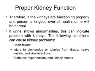 Proper Kidney Function
• Therefore, if the kidneys are functioning properly
and person is in good over-all health, urine will
be normal.
• If urine shows abnormalities, this can indicate
problem with kidneys. The following conditions
can cause kidney problems:
– Heart failure
– Injury to glomerulus or tubules from drugs, heavy
metals, and viral infections.
– Diabetes, hypertension, and kidney stones
 