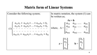 Lecture 02.pdf linear algebra importantt | PDF