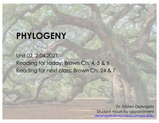 PHYLOGENY
Unit 02, 2.04.2021
Reading for today: Brown Ch. 4, 5 & 6
Reading for next class: Brown Ch. 24 & 7
Dr. Kristen DeAngelis
Student Hours by appointment
deangelis@microbio.umass.edu
 