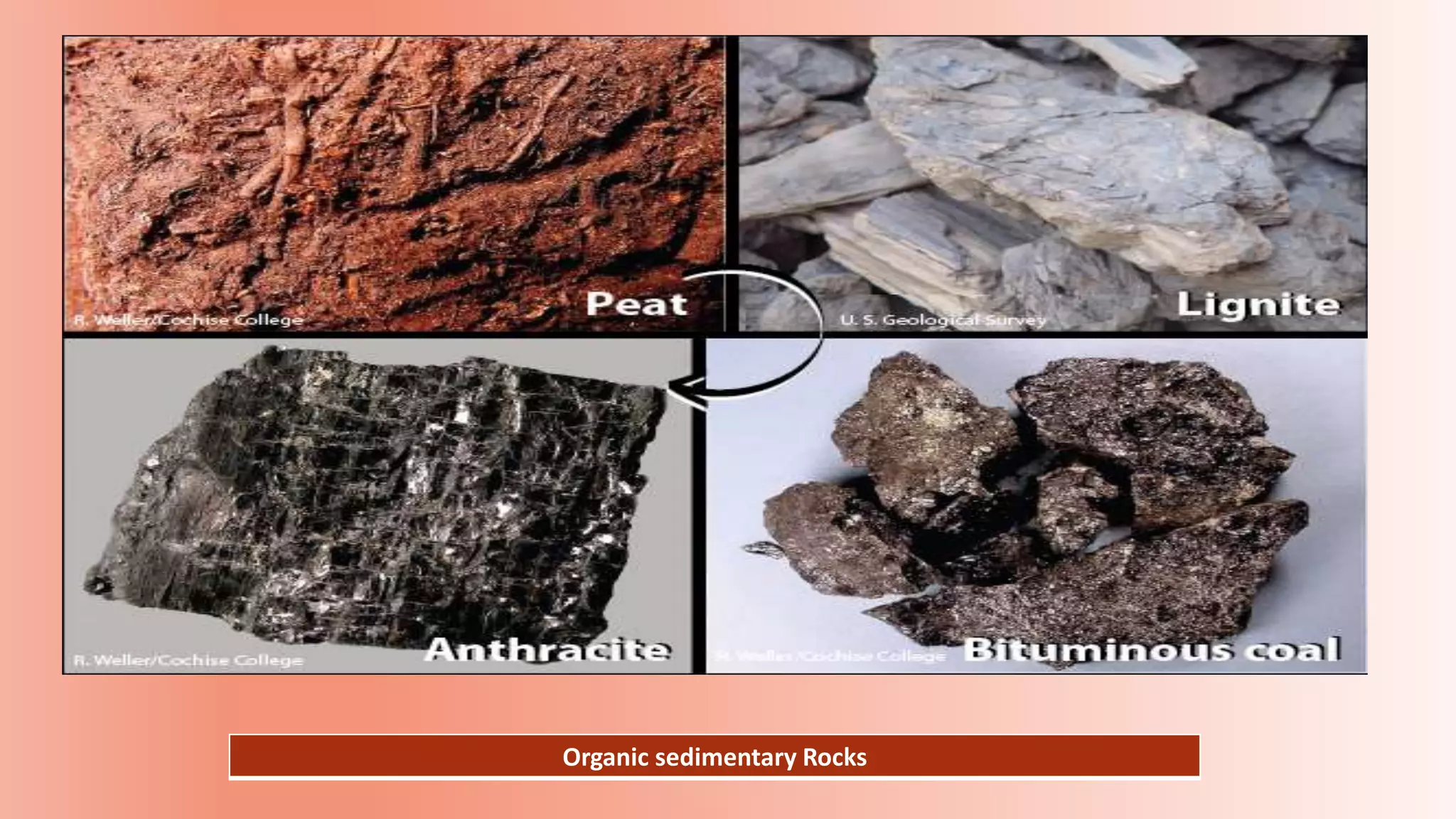 Organic sedimentary Rocks
 