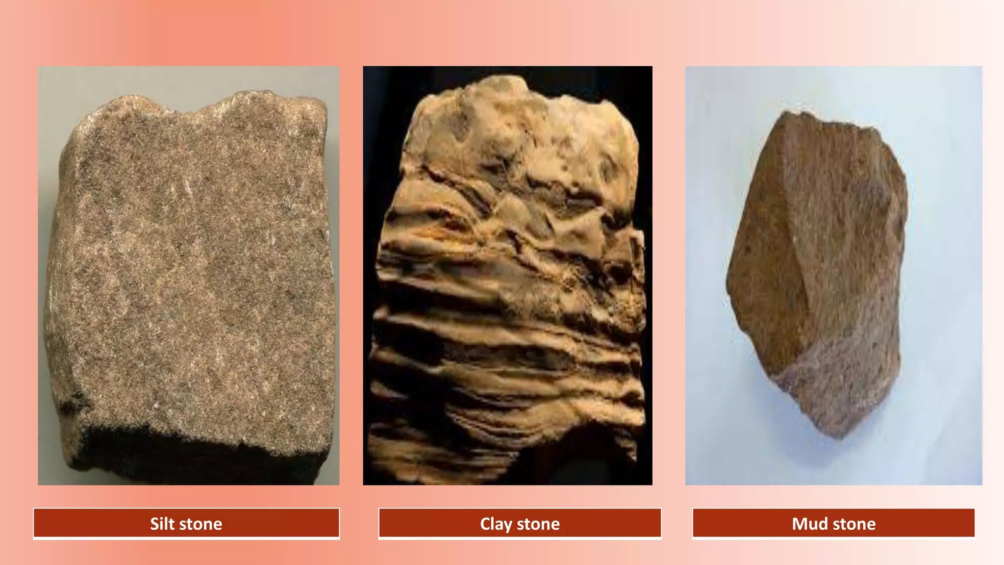 Silt stone Clay stone Mud stone
 