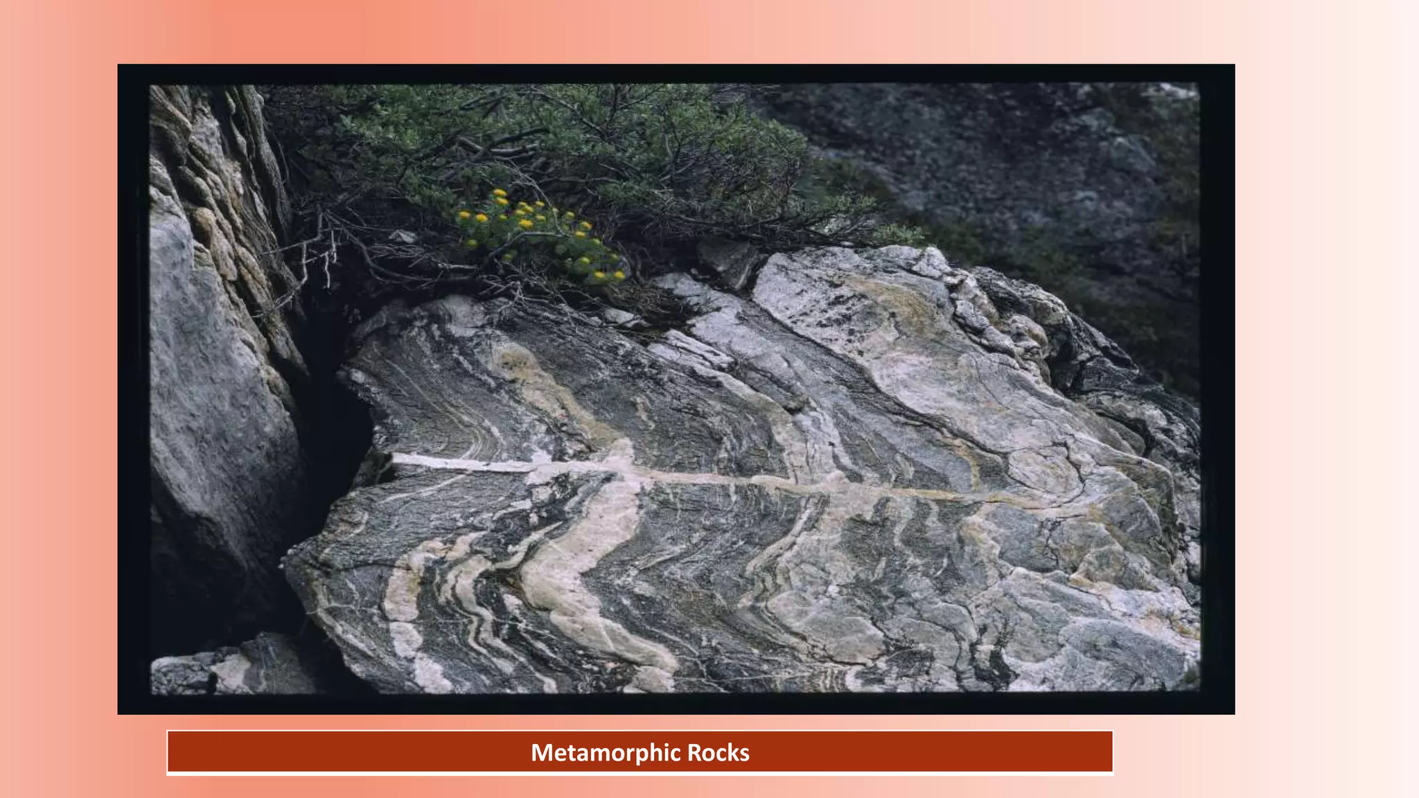 Metamorphic Rocks
 