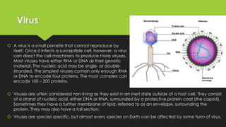 Bioinformatics Cell cycles with More Genetic Terms | PDF