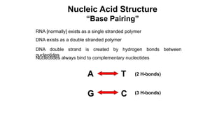 Lecture on Nucleic acids Molecular Biology | PPTX