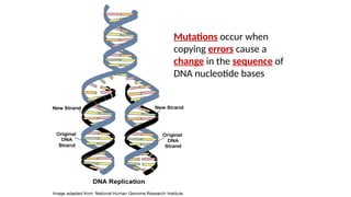 Lecture on Nucleic acids Molecular Biology | PPTX