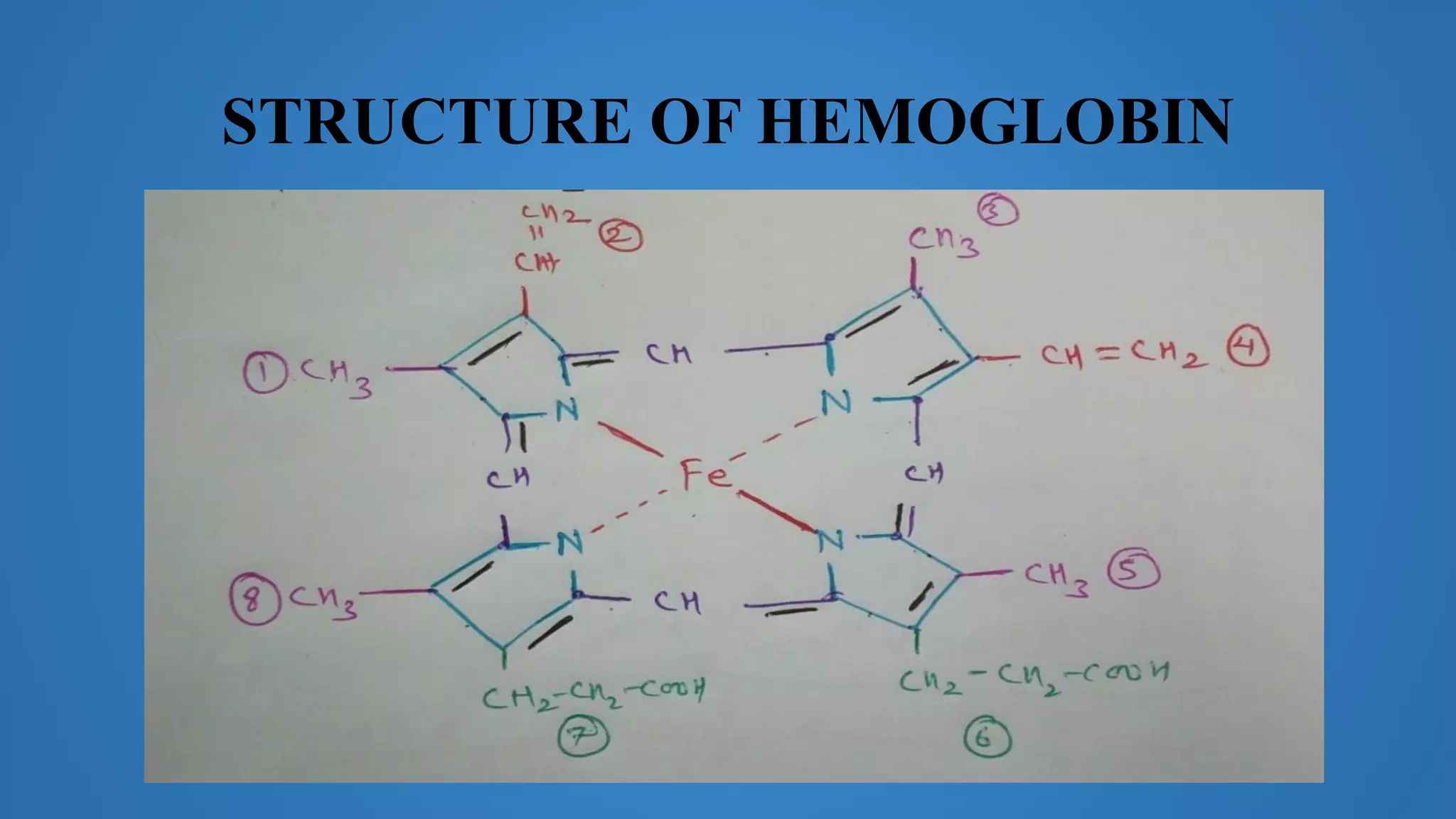 STRUCTURE OF HEMOGLOBIN
 