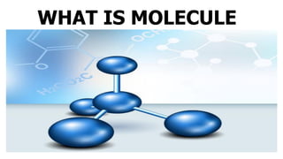 WHAT IS MOLECULE
 