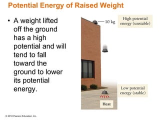© 2018 Pearson Education, Inc.
Potential Energy of Raised Weight
• A weight lifted
off the ground
has a high
potential and will
tend to fall
toward the
ground to lower
its potential
energy.
 