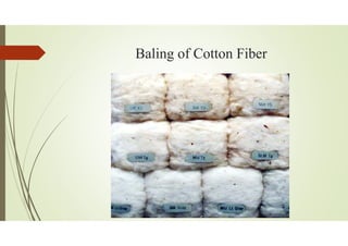 Baling of Cotton Fiber
 