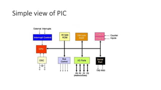 Simple view of PIC
 
