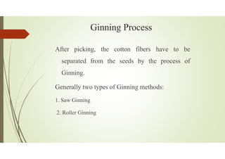Ginning Process
After picking, the cotton fibers have to be
separated from the seeds by the process of
Ginning.
Generally two types of Ginning methods:
1. Saw Ginning
2. Roller Ginning
 