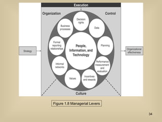 Figure 1.8 Managerial Levers
34
 