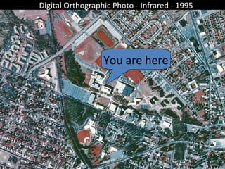Digital Orthographic Photo - Infrared - 1995 You are here 
